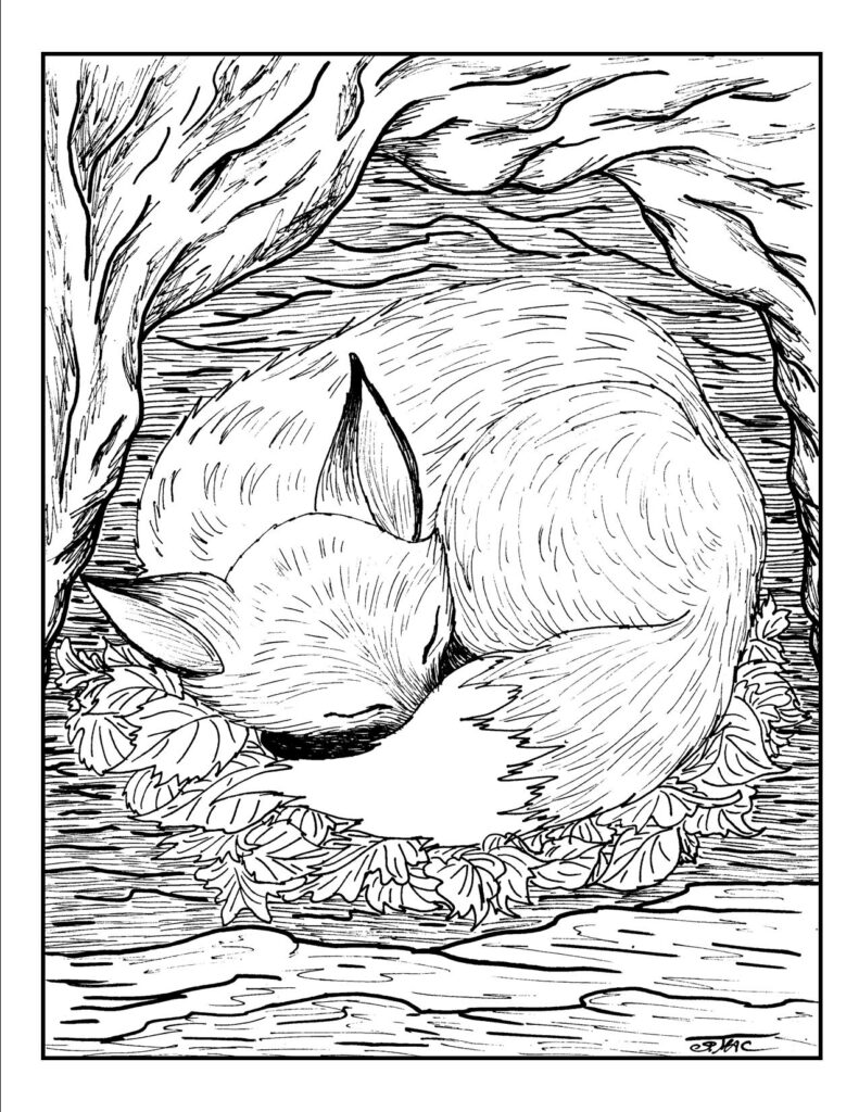 Coloring Pages For Adults Nature Coloring Home