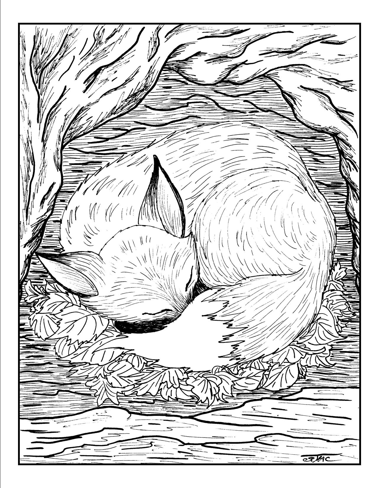 Coloring Pages For Adults Nature Coloring Home