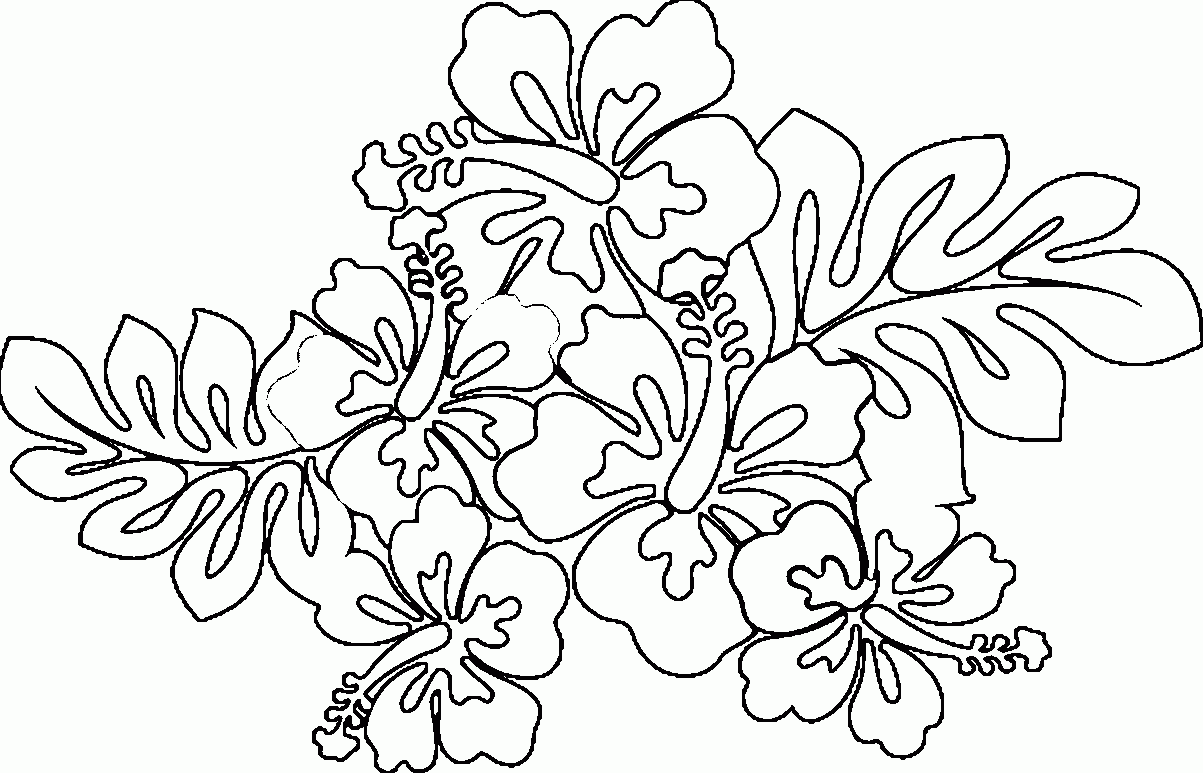 Coloring Pages Hawaiian