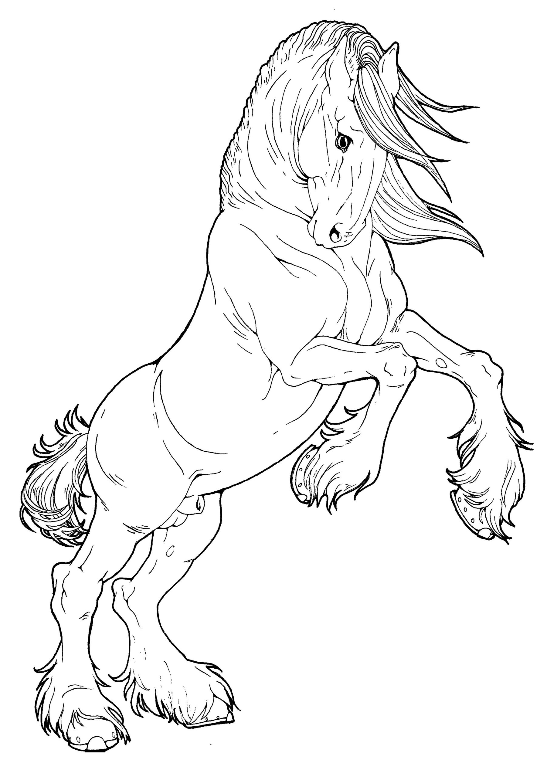 Coloring Pages Of Horses Rearing At GetColorings Free Printable 