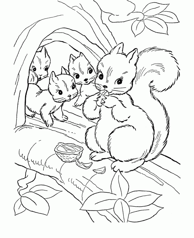 Coloring Pages Of Squirrels Coloring Home