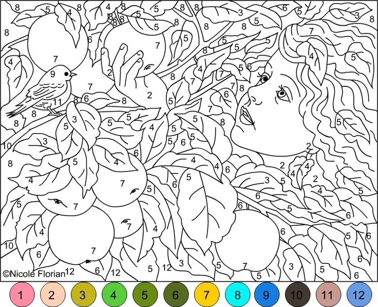 printable coloring pages with numbers for adults