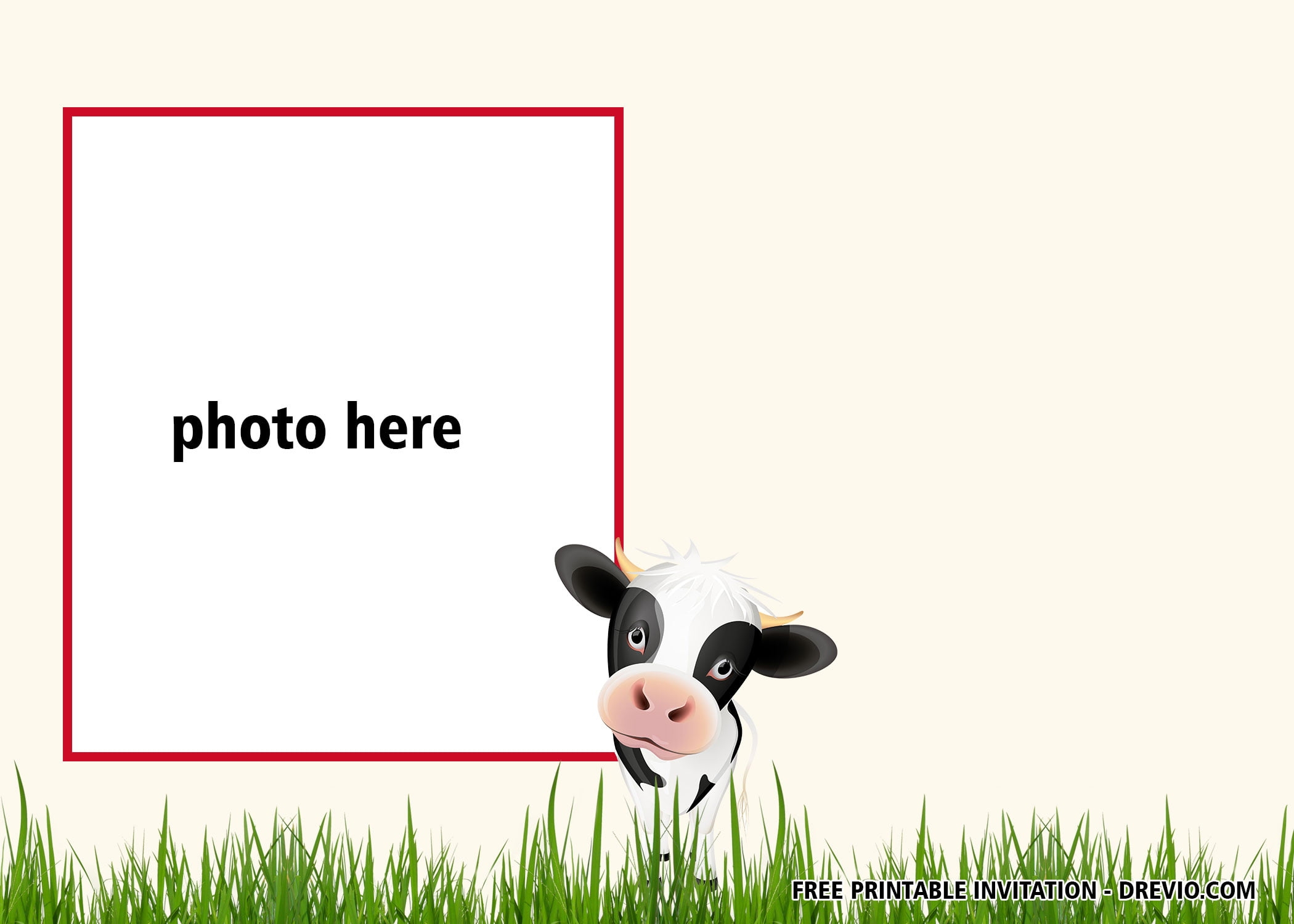 Cow Birthday Invitation Templates