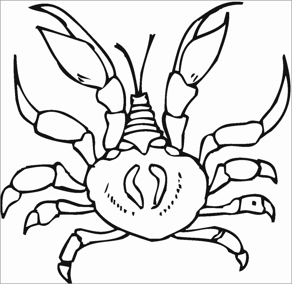 Crab Coloring Pages ColoringBay