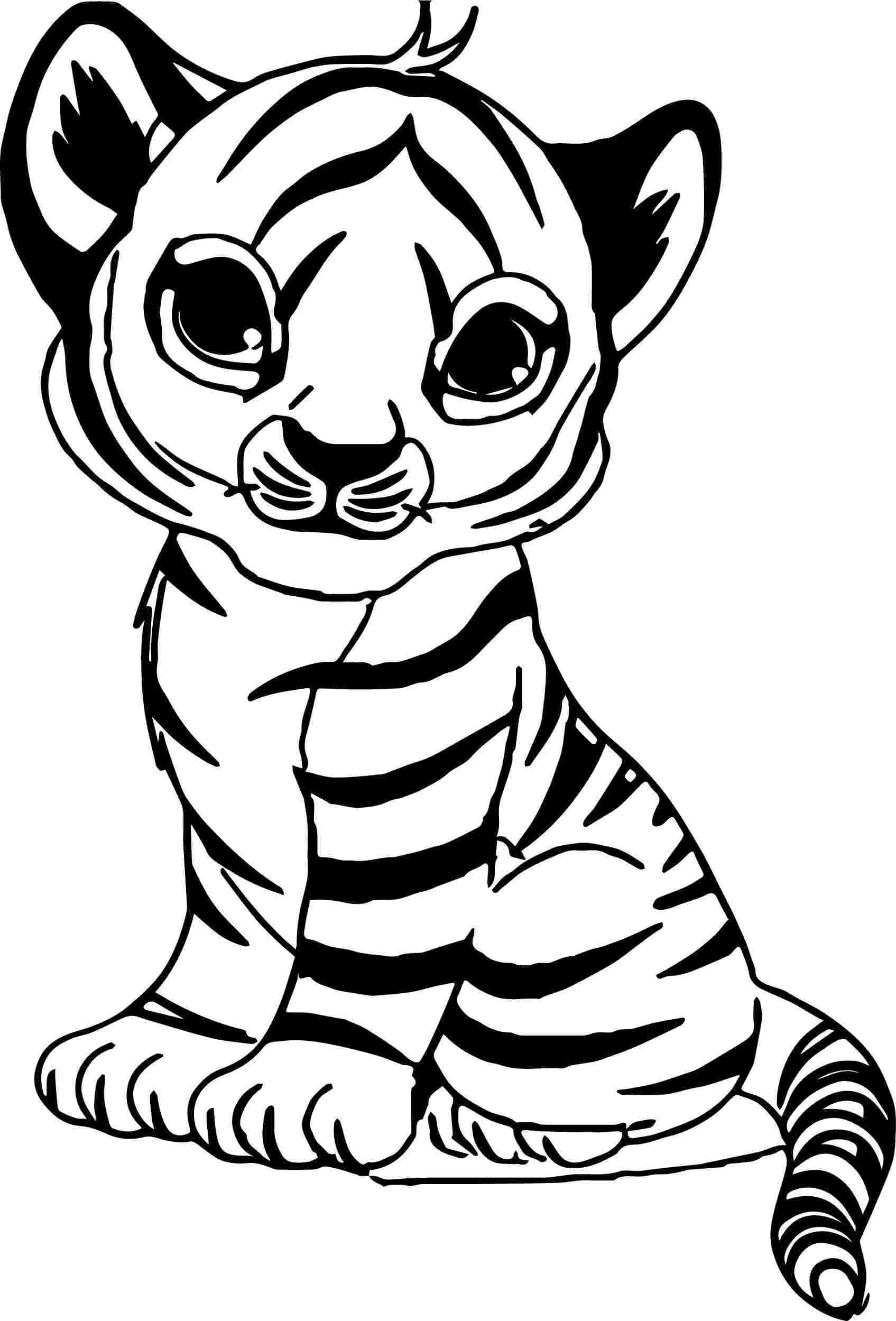 Coloring Pages Animals