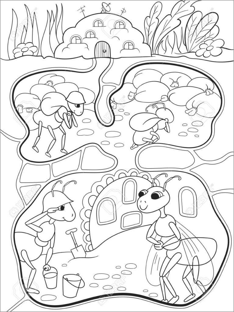 Cute Ant Coloring Page ColoringBay