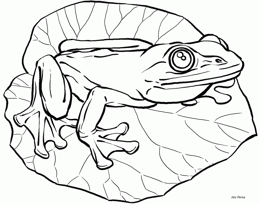 Cute Frog Coloring Pages Coloring Home