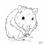Cute Hamster Coloring Pages Coloring Home