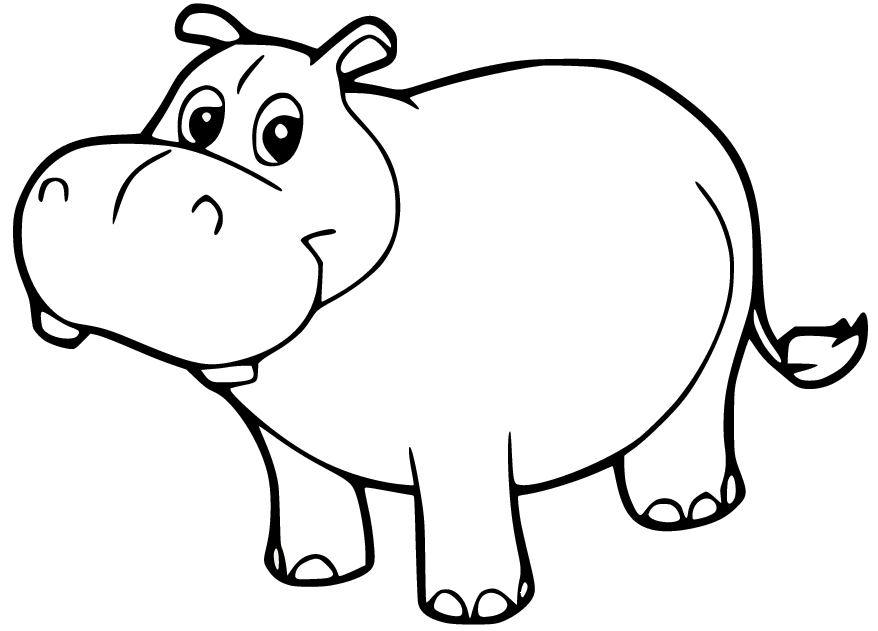 Cute Little Hippo Coloring Page Free Printable Coloring Pages