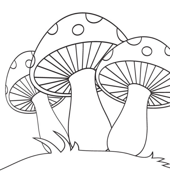 Cute Mushroom Coloring Pages At GetColorings Free Printable 