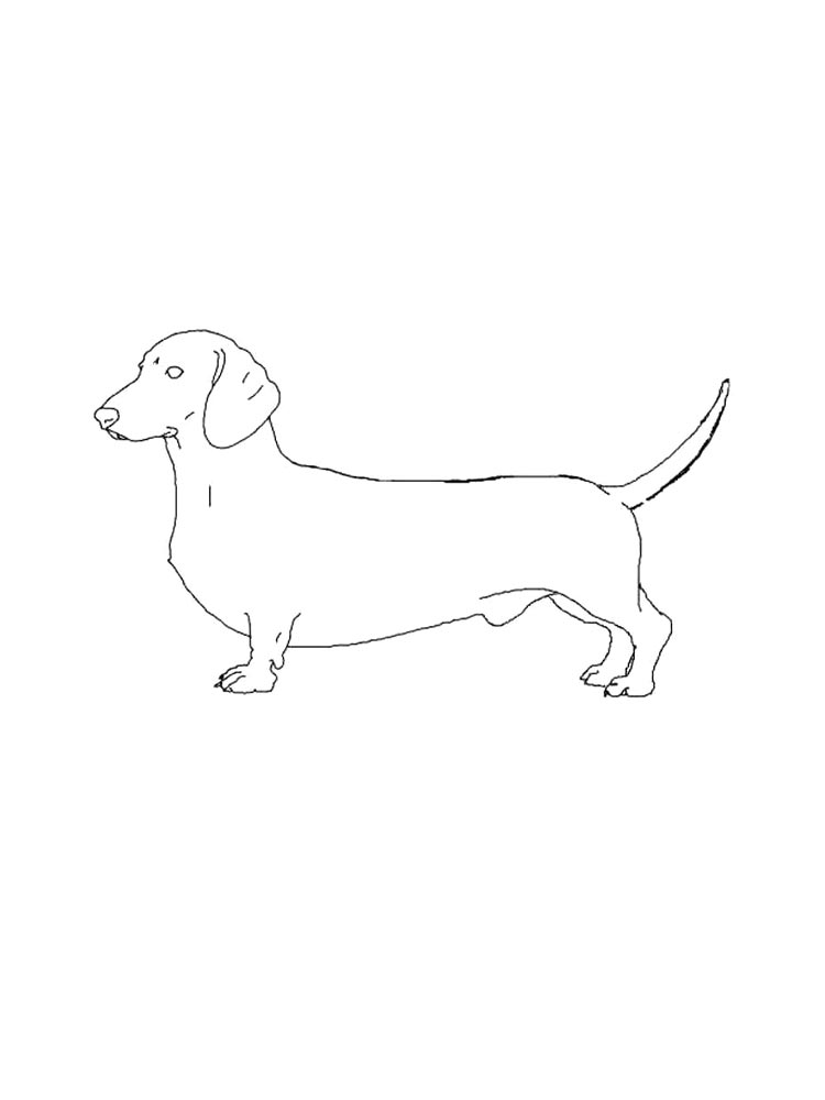 Dachshund Coloring Pages