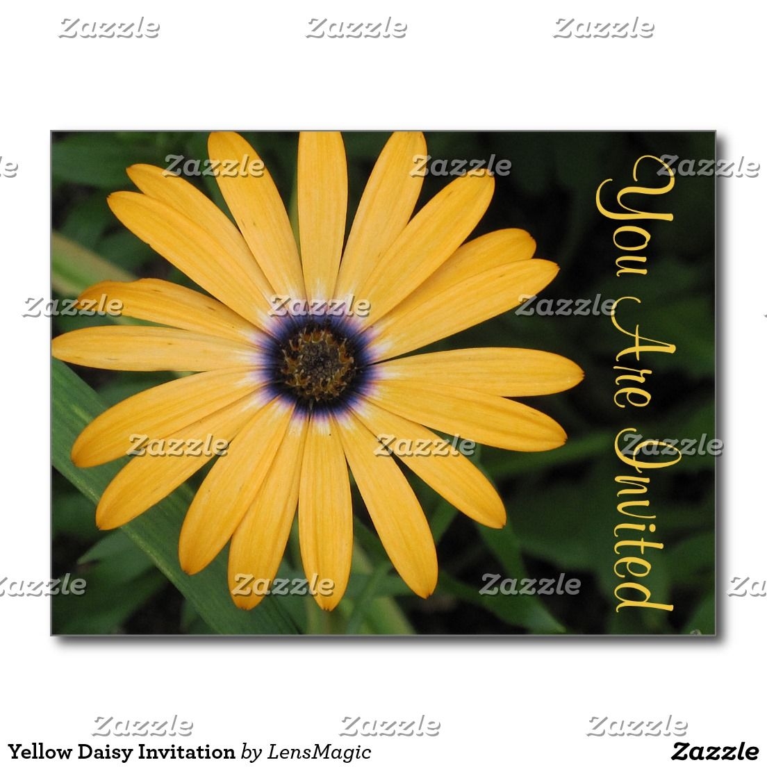 Daisy Invitation Template Free Printable Word Searches