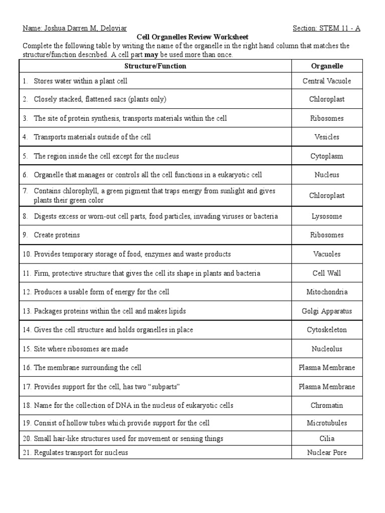 cell organelle worksheet