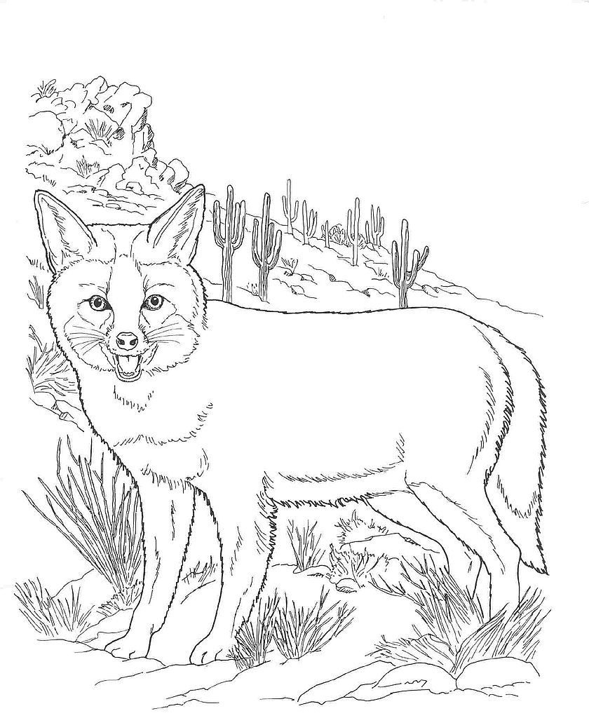 Desert Coloring Pages