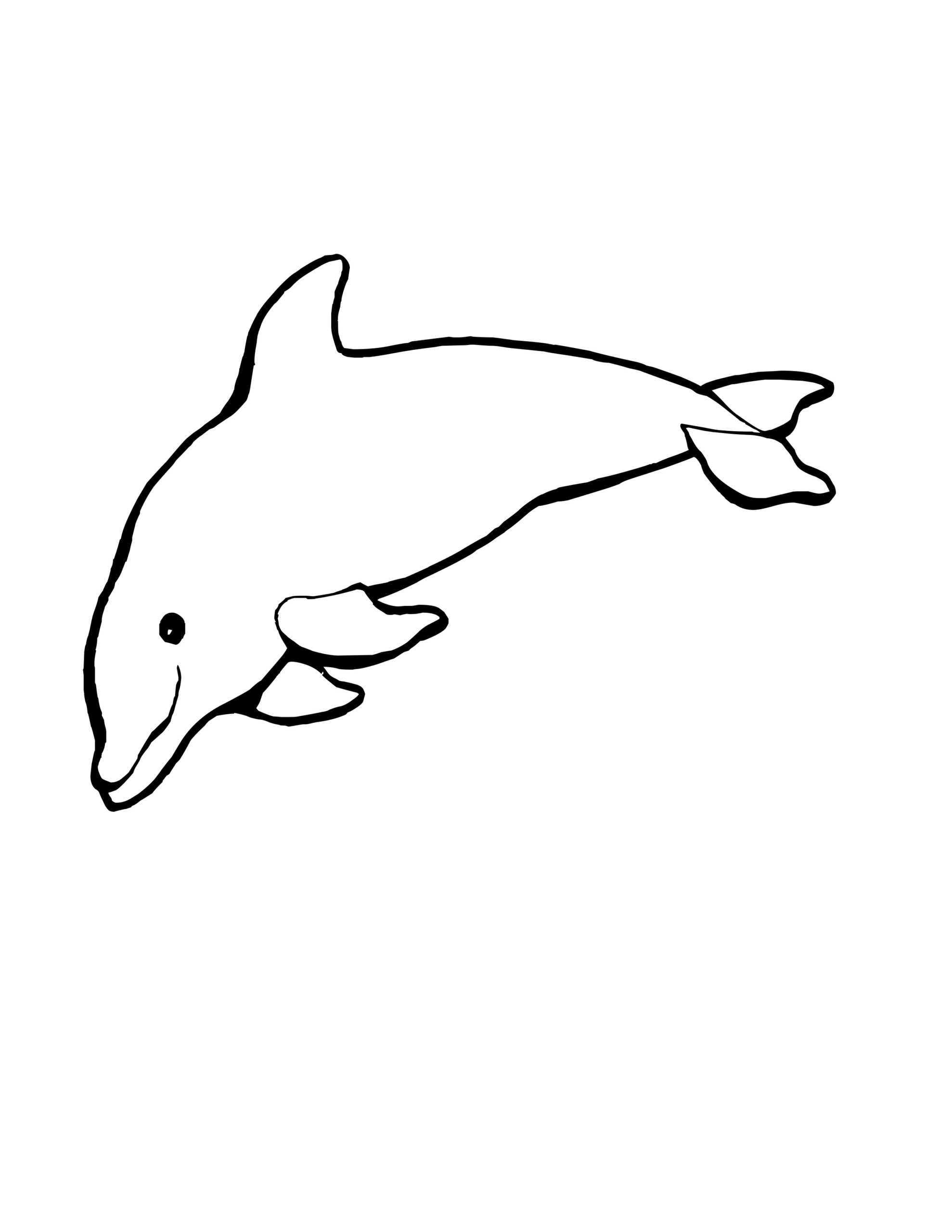 Coloring Pages Dolphin