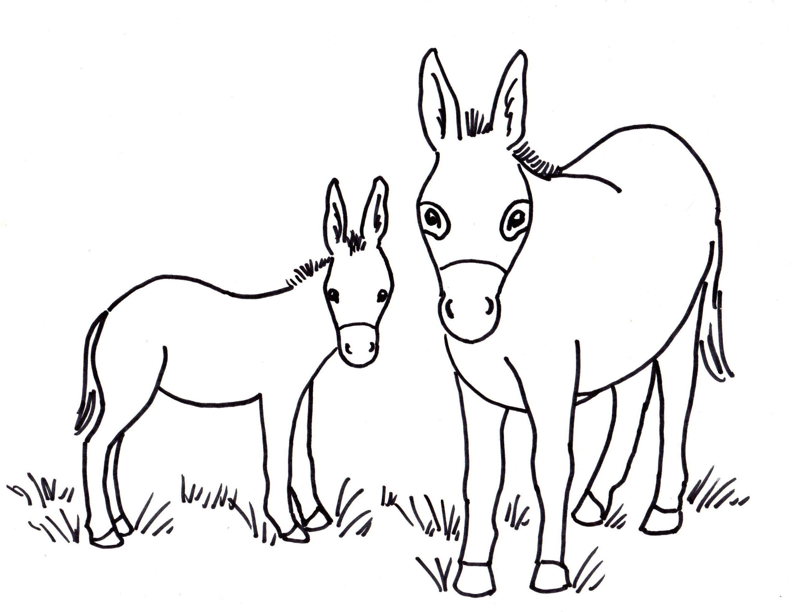 Donkey Coloring Page