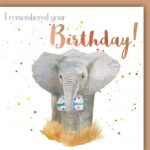 Elephant Birthday Card BigaMart