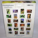 Encinitas Printable Expressions Greeting Cards The Wildlife