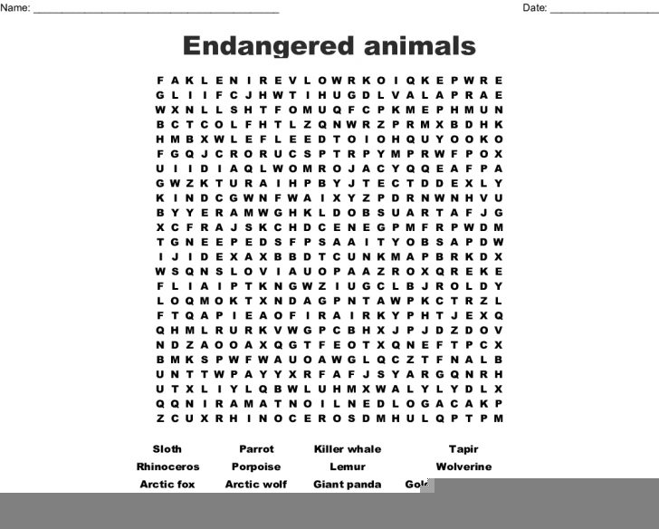 endangered animals worksheet printable