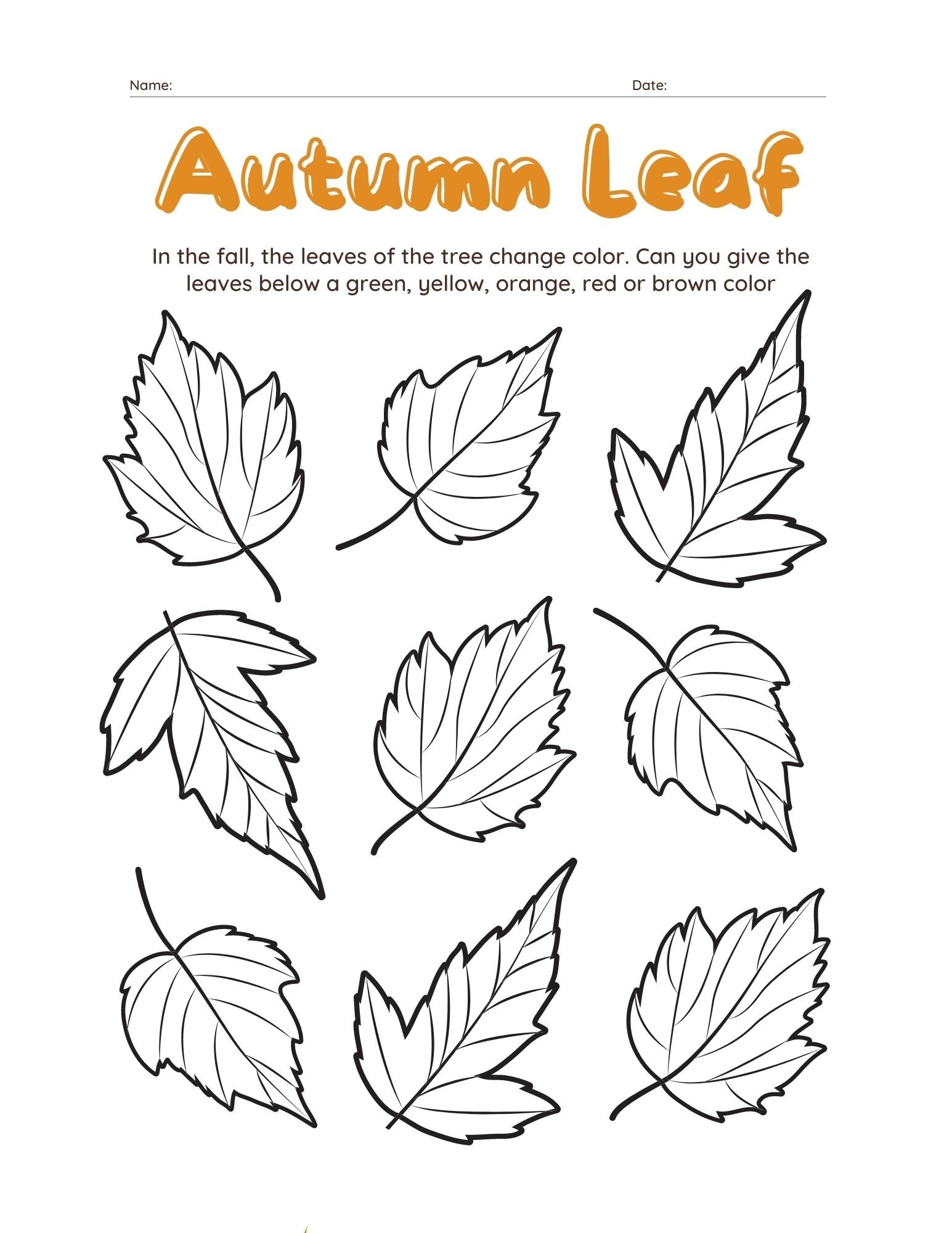 Coloring Activity Pages