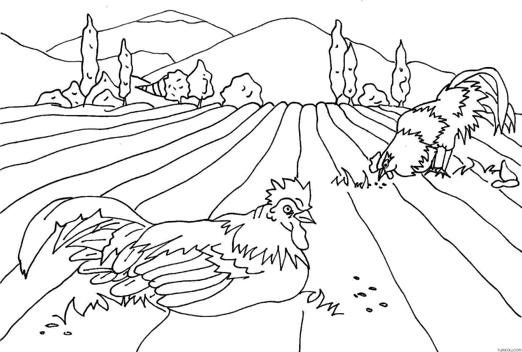 Coloring Page Animals