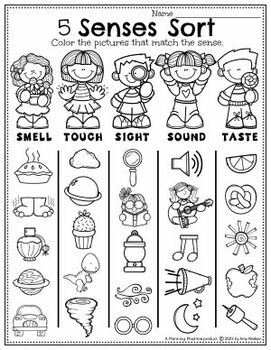 Five Senses Worksheets For Kids Plus 5 Senses Craft Tims 