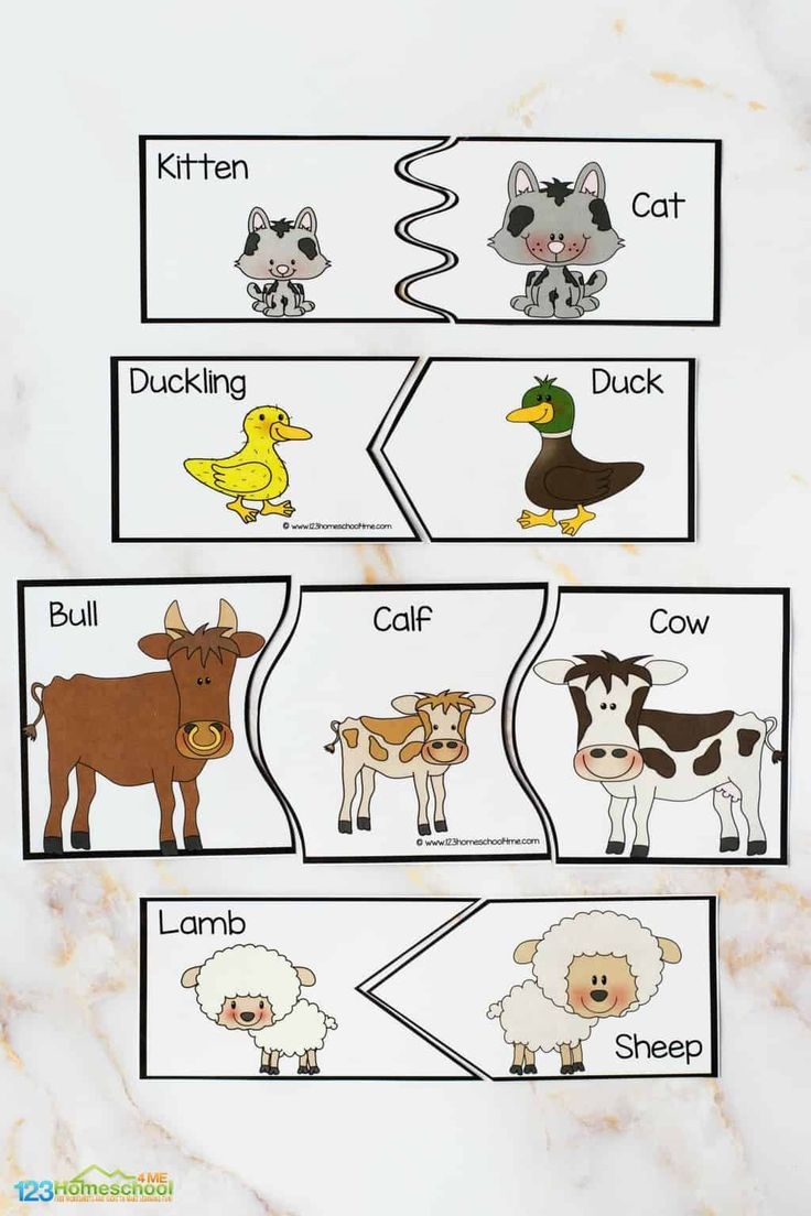 animals worksheet free printable