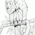 Free Monkey Coloring Pages