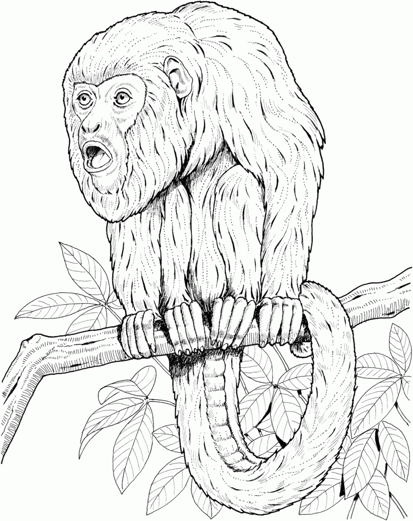 Free Monkey Coloring Pages