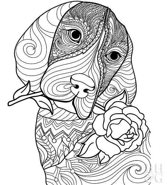 Free Pet Coloring Page Better Homes Gardens Coloring Home