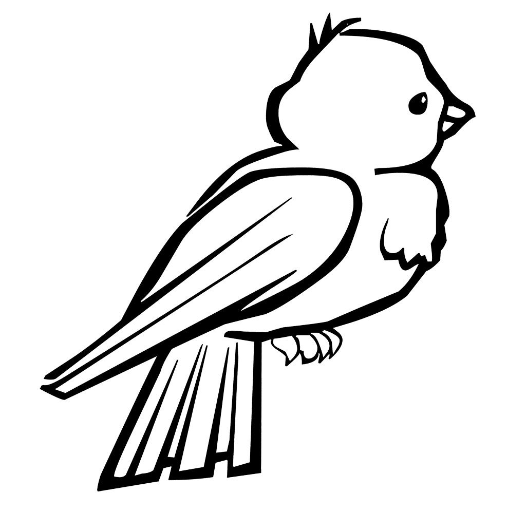 free printable bird coloring pages