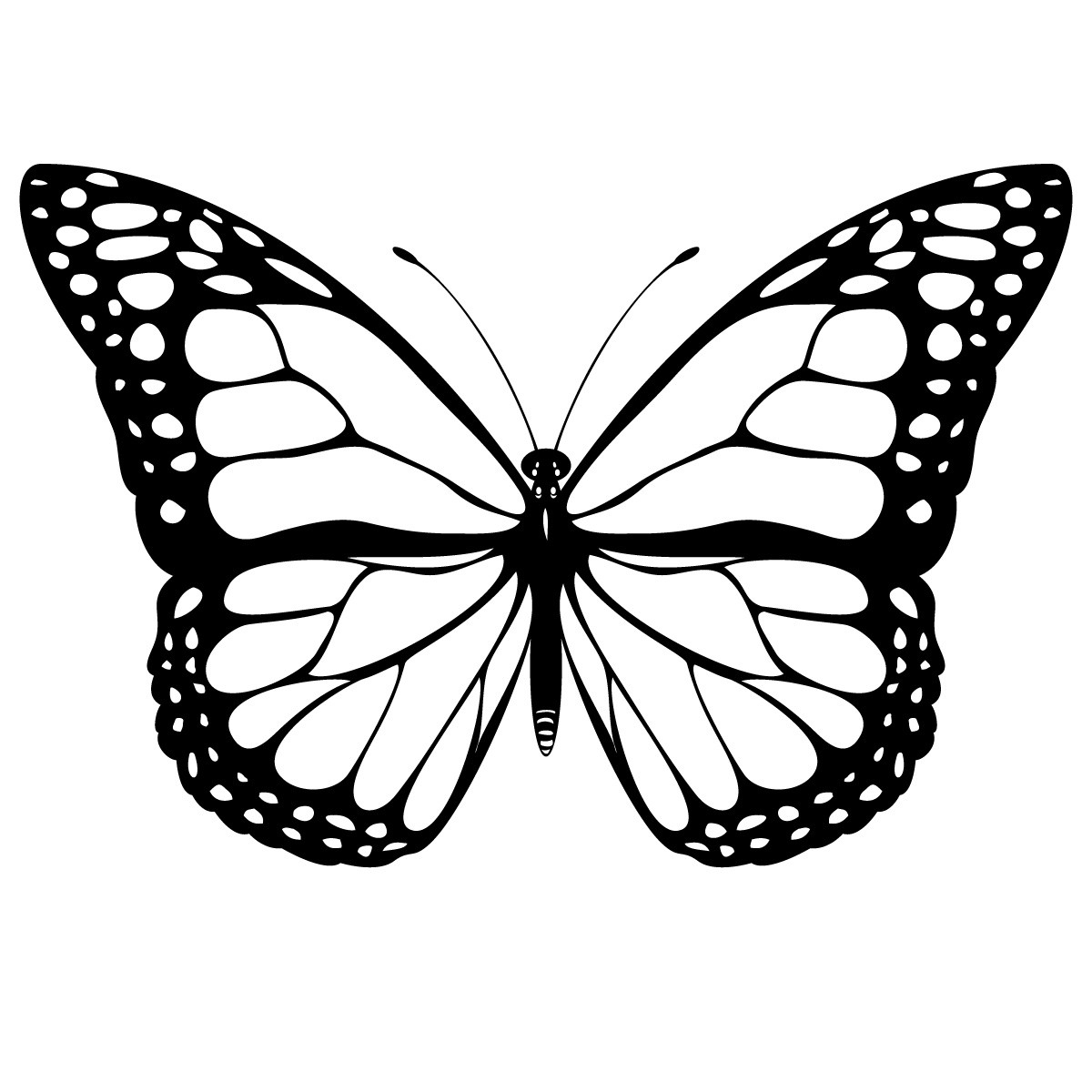 Butterfly Coloring Pages