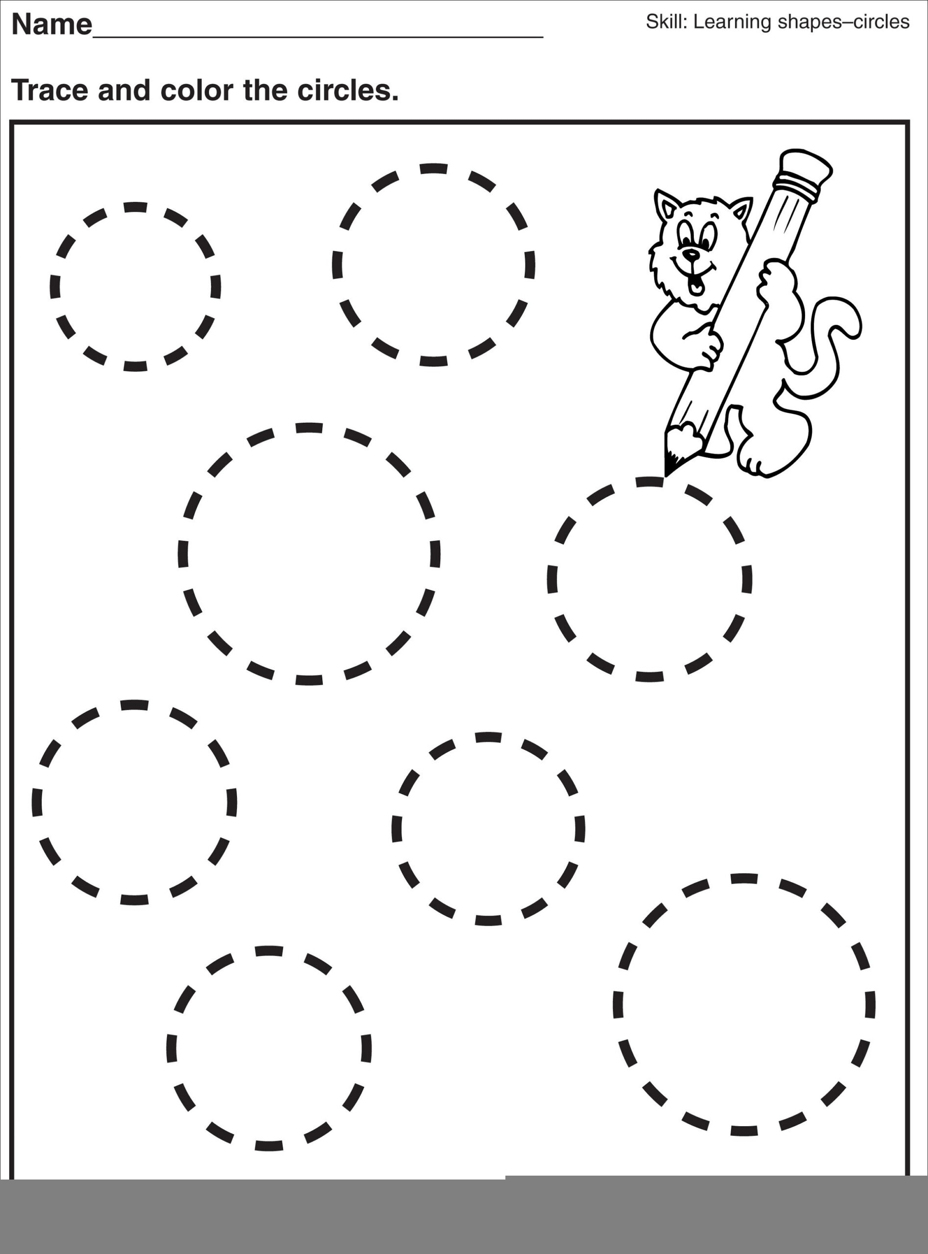 worksheets about circles