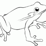 Free Printable Coloring Pages Of Frogs Coloring Home