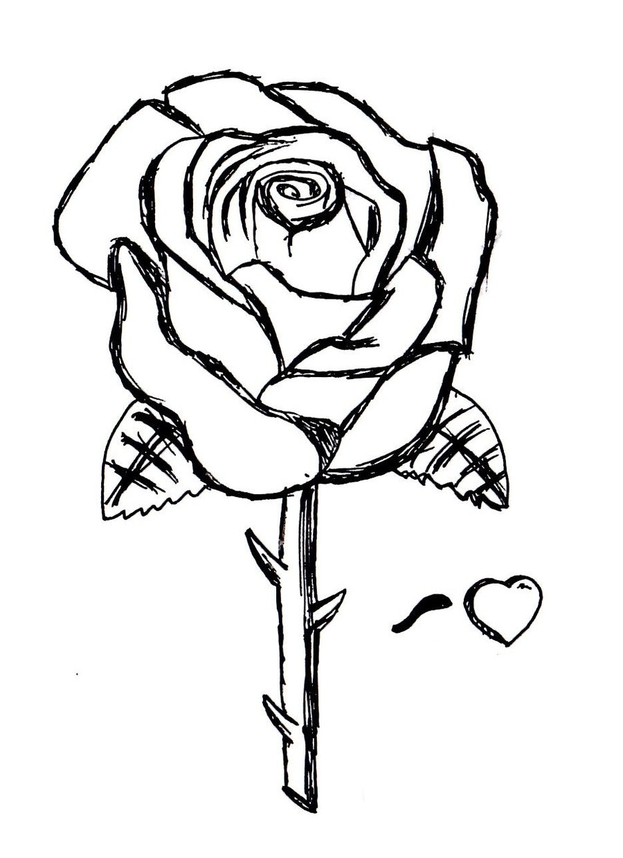 Free Printable Coloring Pages Roses Printable Word Searches