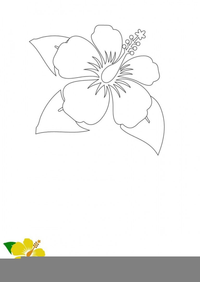 free printable hibiscus flower template