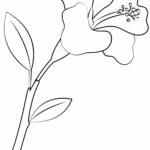 Free Printable Hibiscus Flower Template Printable Templates Online By