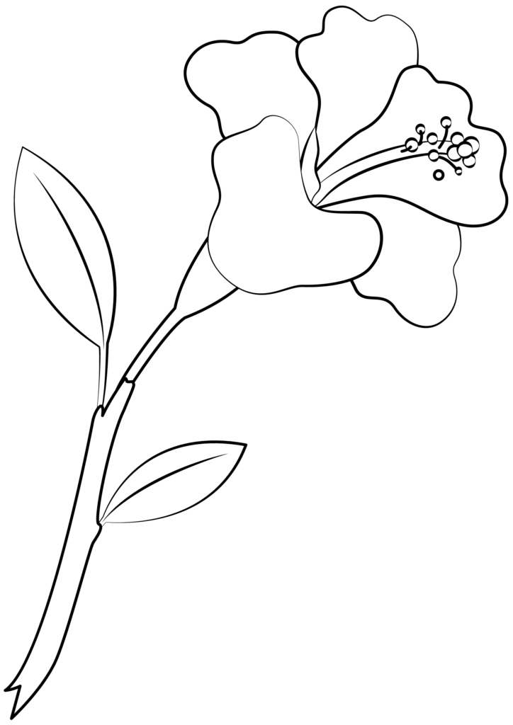Free Printable Hibiscus Flower Template Printable Templates Online By