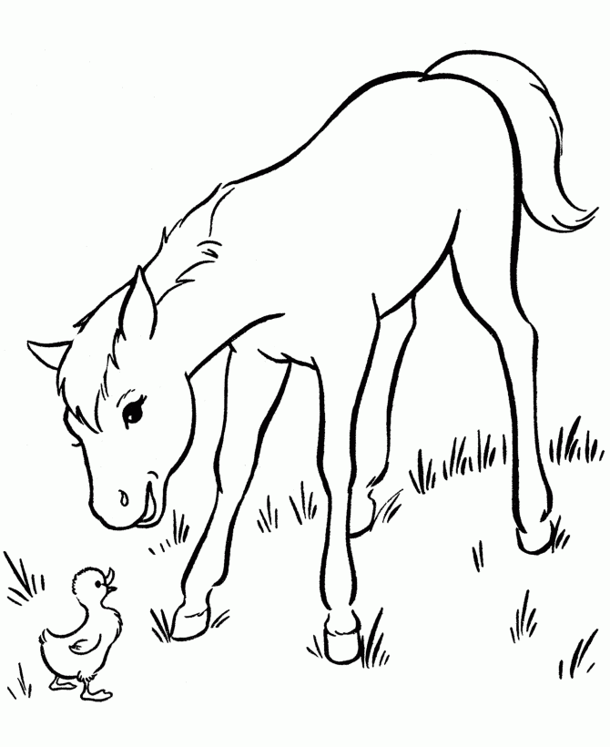free horse coloring pages to print