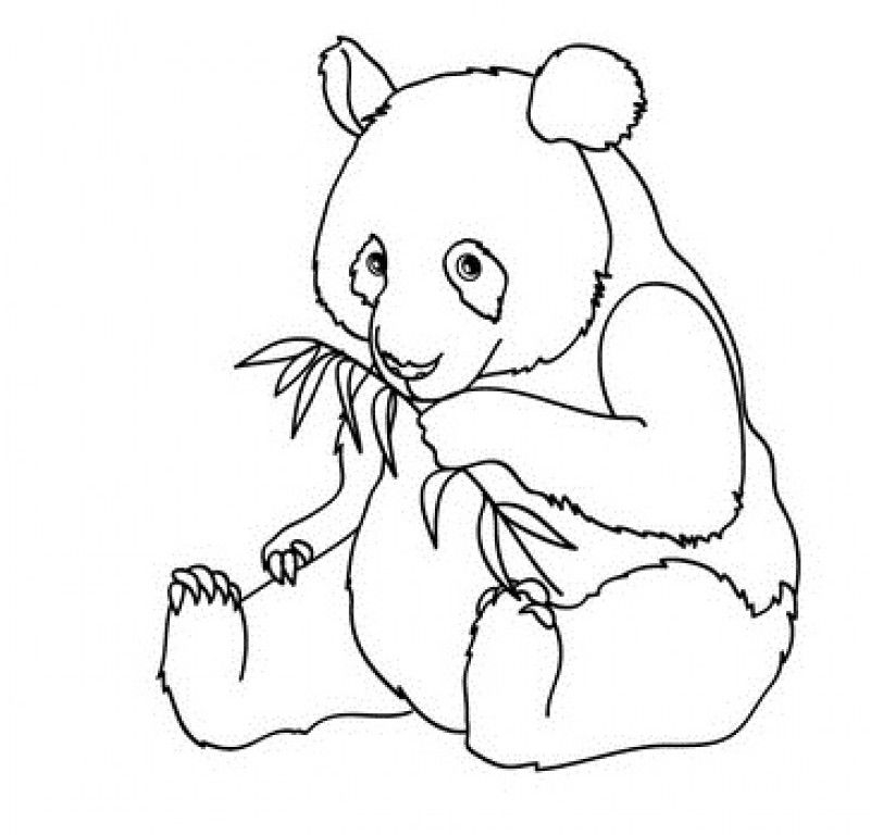 free printable panda bear coloring pages