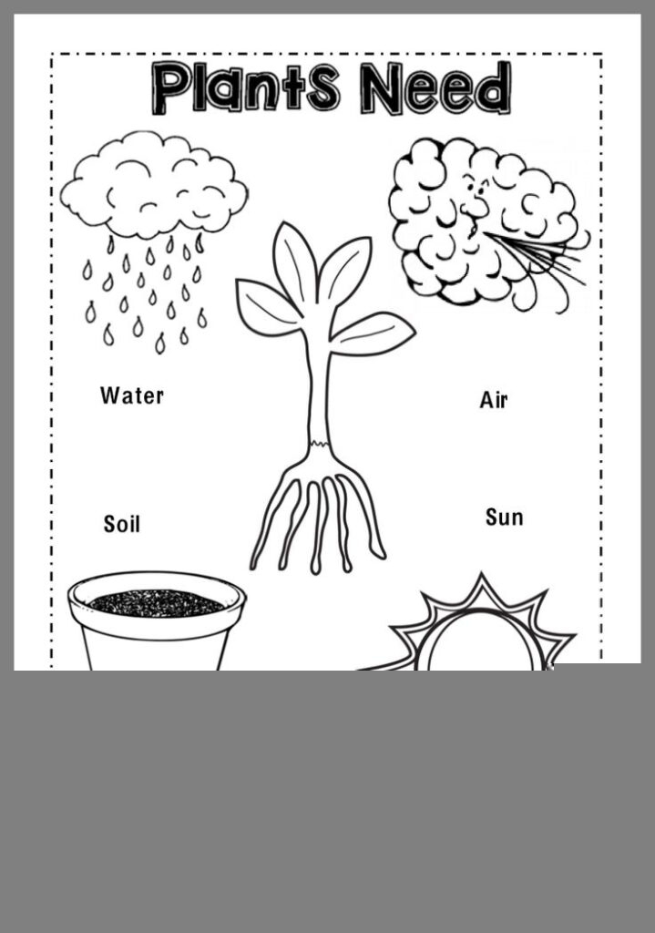 Free Printable Preschool Science Worksheets Printable Worksheets