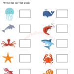 Free Printable Sea Animals Worksheets Worksheetspack