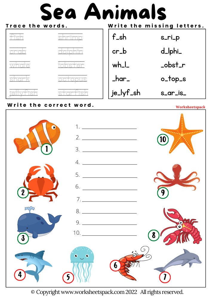 free printable sea animals worksheets