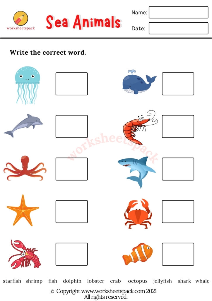 Free Printable Sea Animals Worksheets Worksheetspack