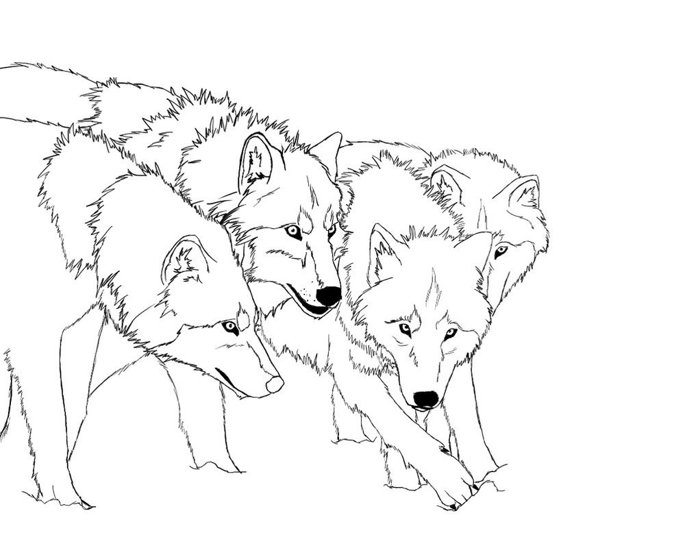 free coloring pages of a wolf