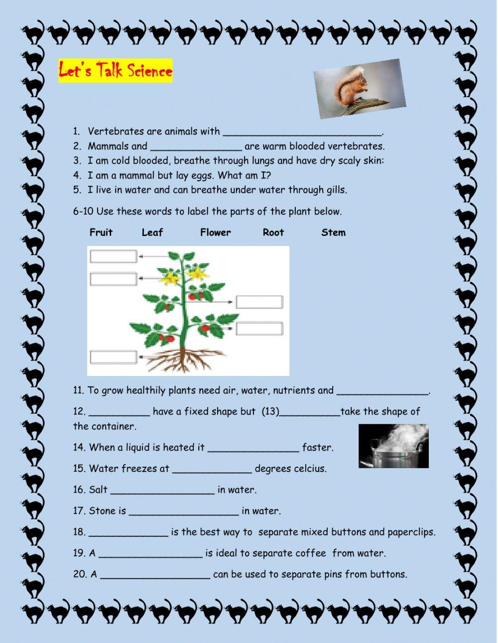 Free Science Worksheet For 4th Graders Download Free Science Worksheet 
