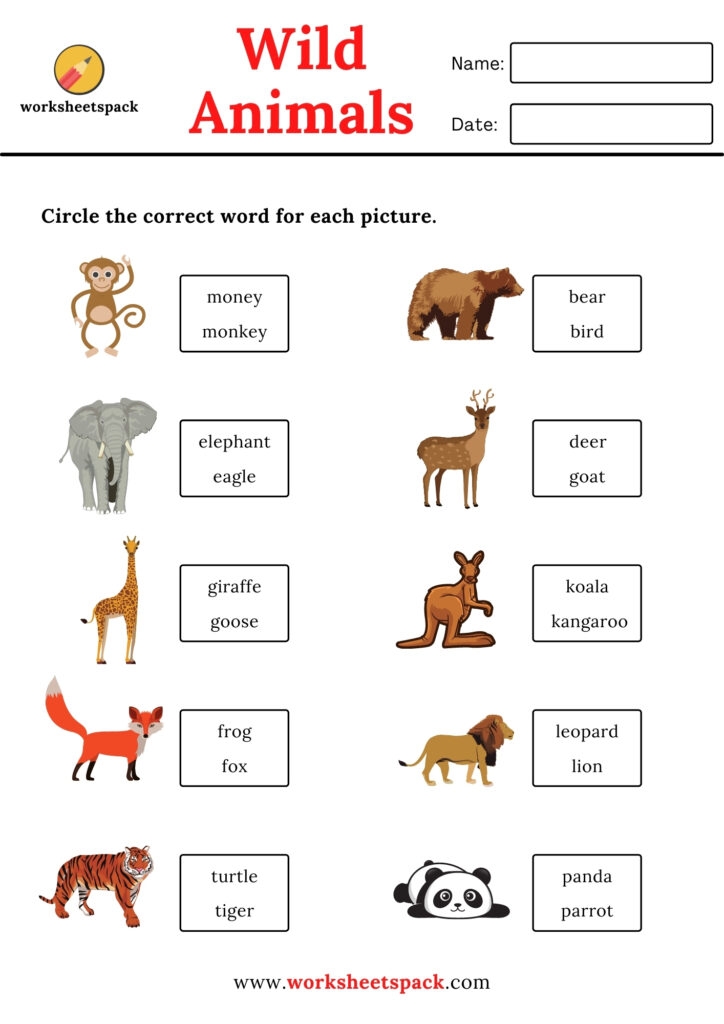 Free Wild Animals Worksheets Worksheetspack
