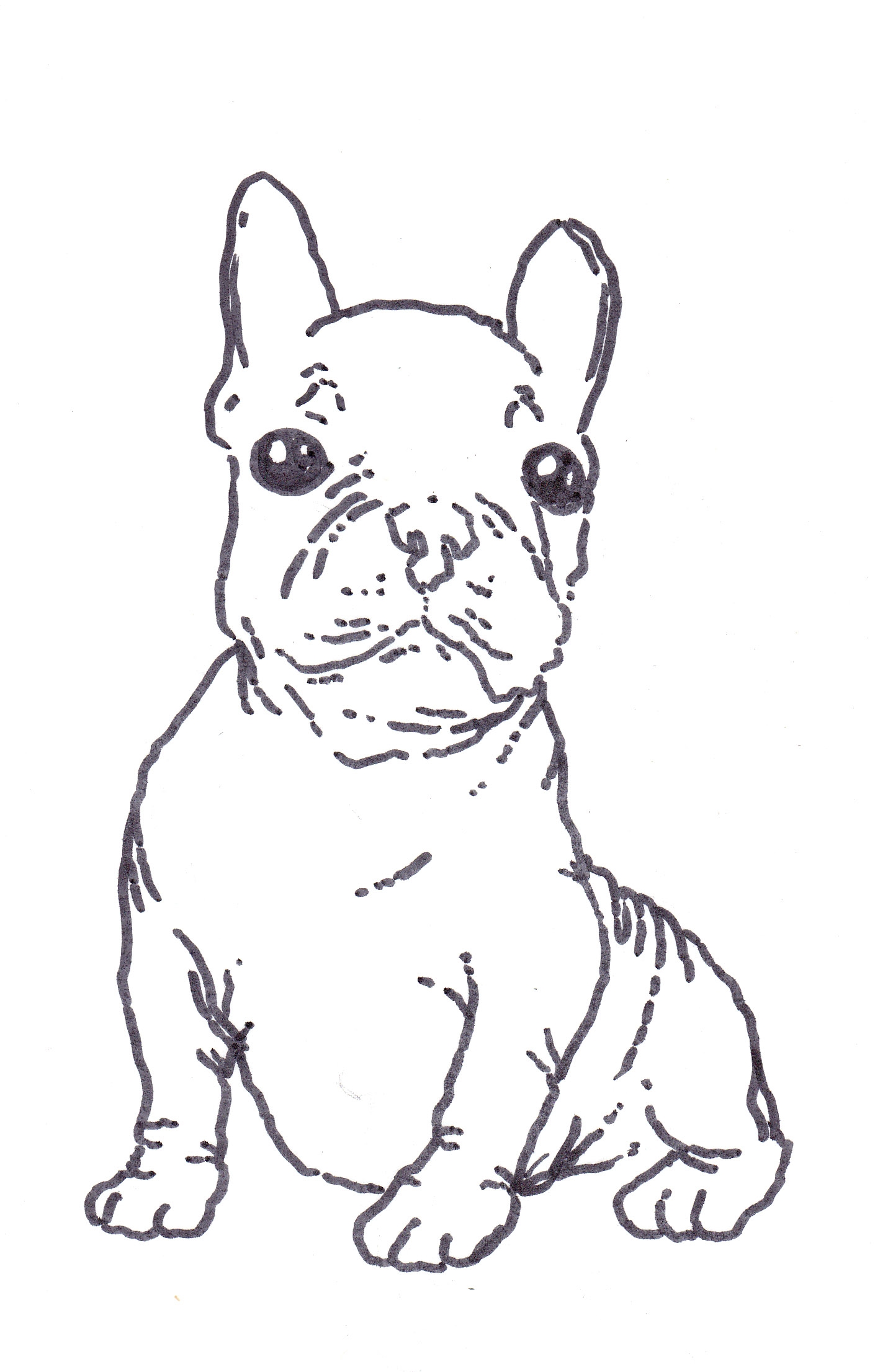 French Bulldog Coloring Pages Coloring Home