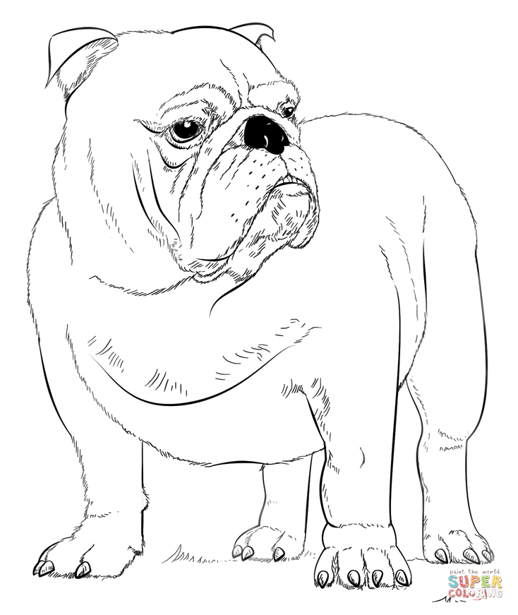 French Bulldog Coloring Pages Coloring Home