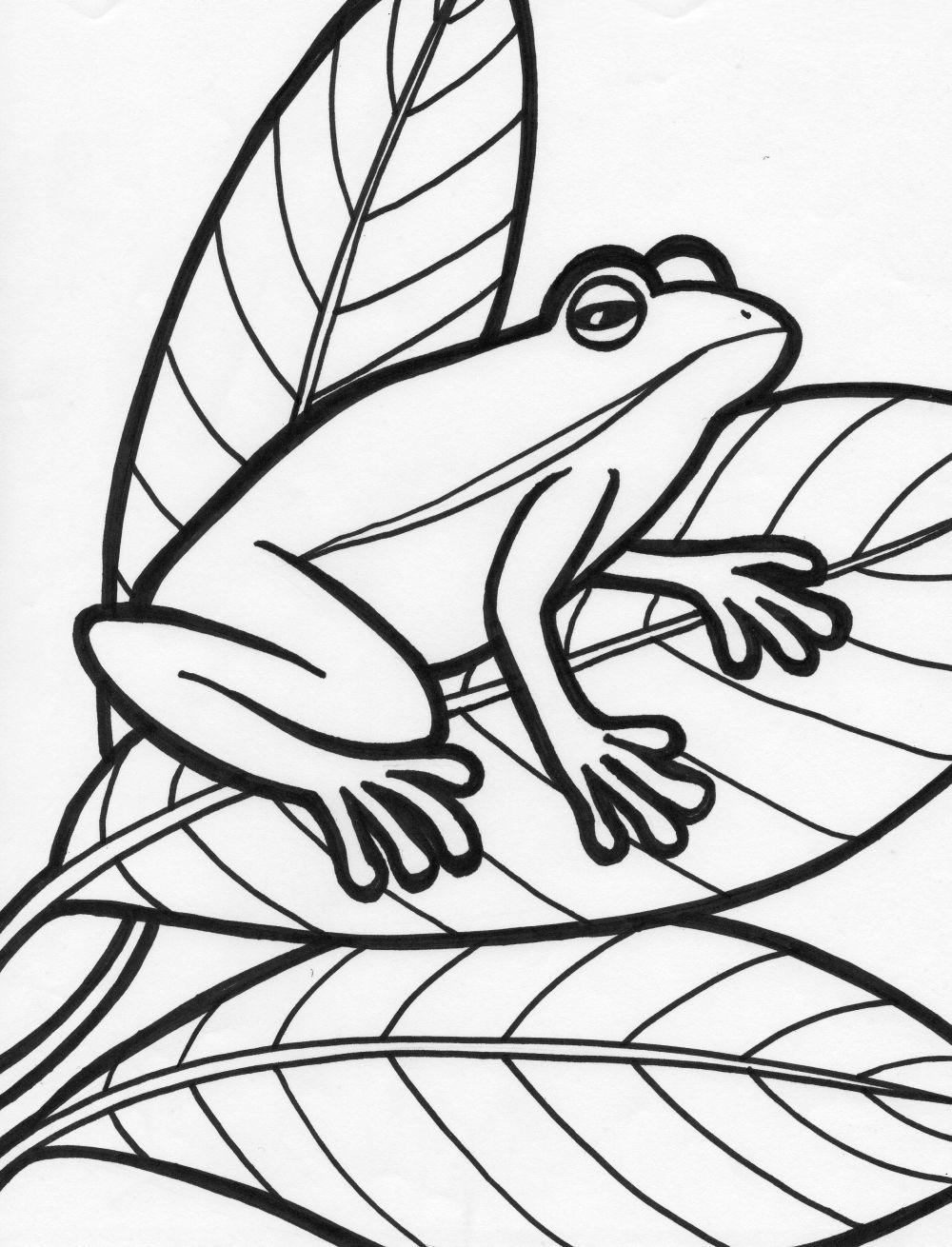 frog coloring pages free printable